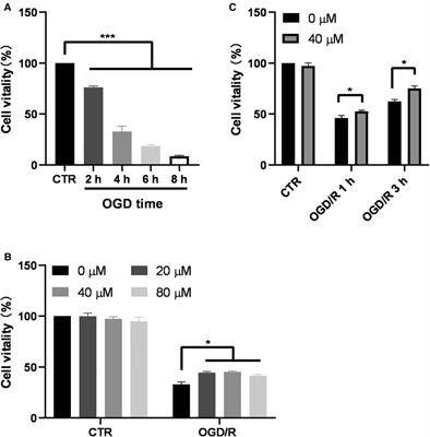 Gallic acid inhibits neuroinflammation and reduces neonatal hypoxic-ischemic brain damages